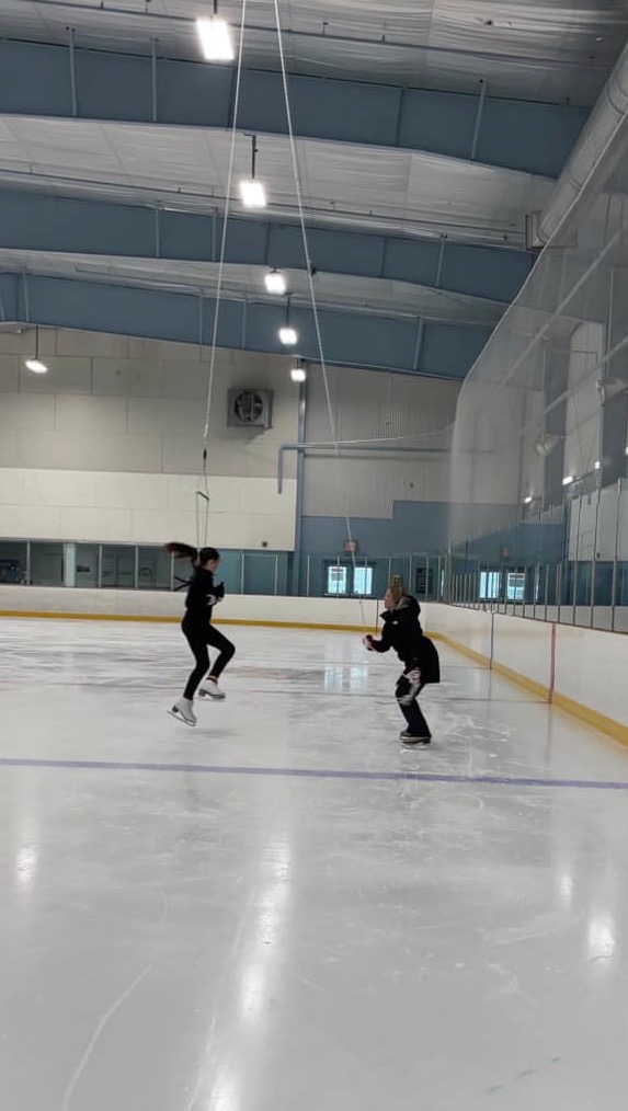 Harness Information Skate Tecumseh